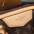 Louis Vuitton Bag 096